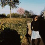 Melike İpek Yalova Instagram - Dumphinio🧡