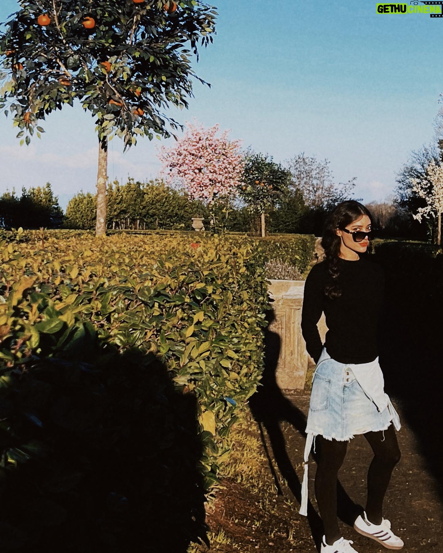 Melike İpek Yalova Instagram - Dumphinio🧡