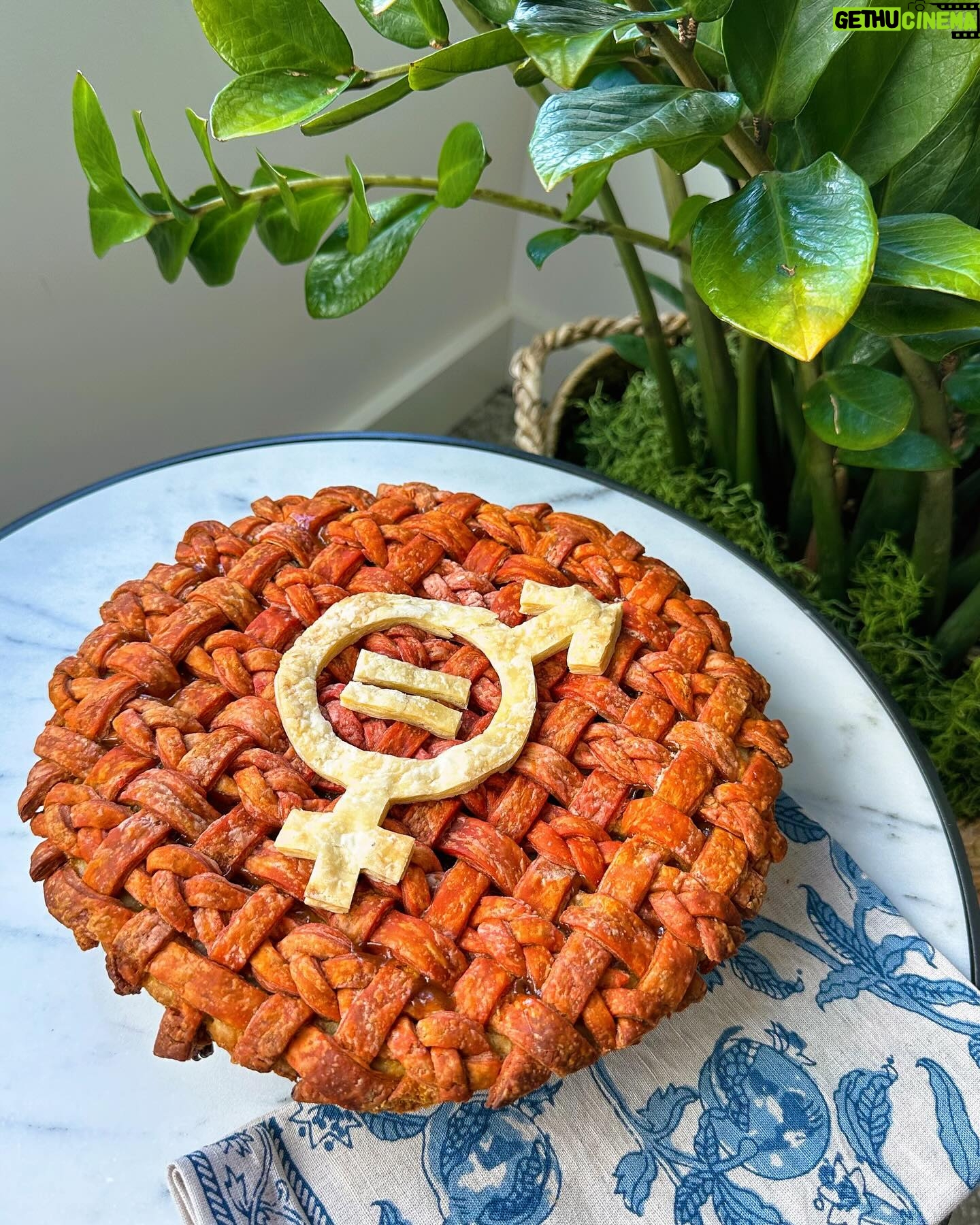 Melinda Gates Instagram - Happy Pi(e) Day! The amazing Seattle baker @lokokitchen designed this gender equality pie for @pivotal_ventures, and I can’t get over how beautiful (and delicious) it looks. #piday