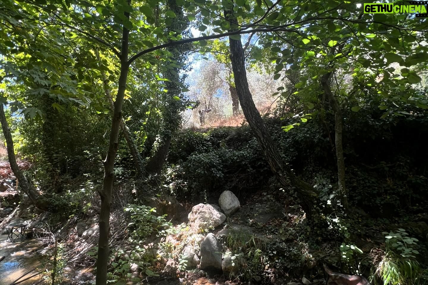 Melisa Şenolsun Instagram - Setten, yazdan, ordan burdan dolunay gibi karisik bir dump 🌚 #tb
