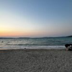 Melisa Şenolsun Instagram - Setten, yazdan, ordan burdan dolunay gibi karisik bir dump 🌚 #tb