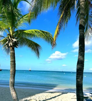 Melissa Gorga Instagram - Lost in paradise 🌴