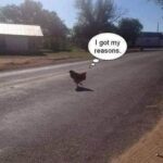 Melissa Joan Hart Instagram - 🐓
