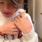 Melissa Joan Hart Instagram - Meet Rango! Our newest family member who is a fan of crickets, water mists and high view points.