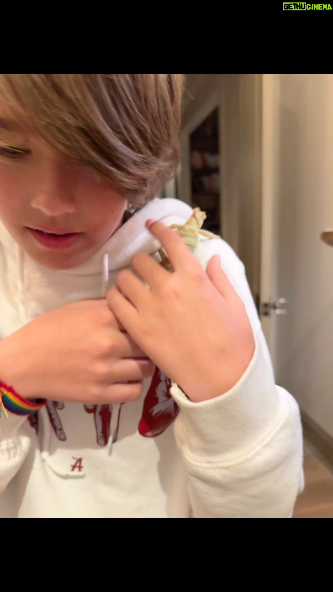 Melissa Joan Hart Instagram - Meet Rango! Our newest family member who is a fan of crickets, water mists and high view points.
