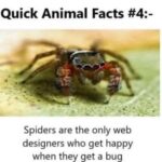 Melissa Joan Hart Instagram - 🕷️ 😂 #momjokes #dadjokes