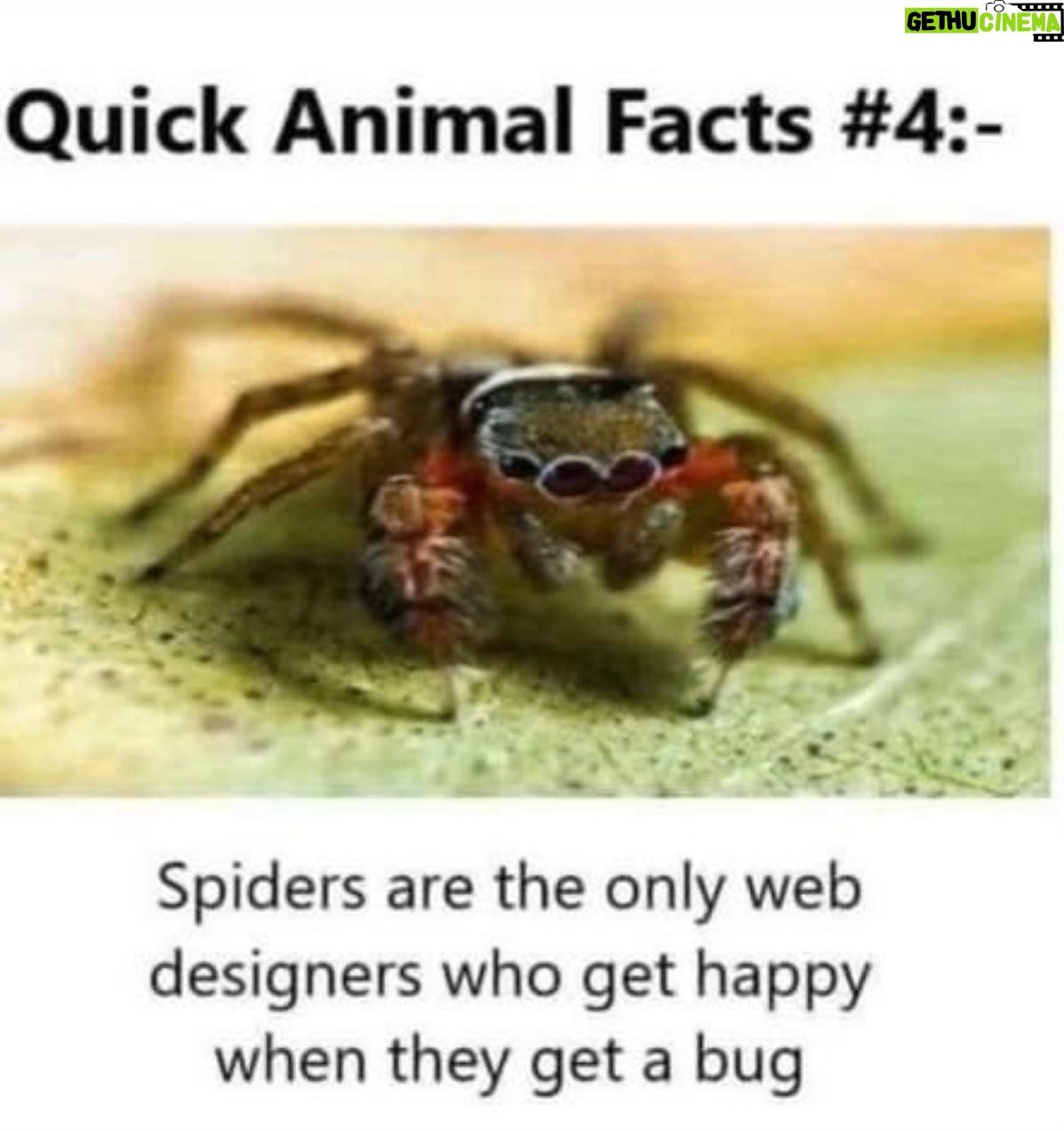 Melissa Joan Hart Instagram - 🕷️ 😂 #momjokes #dadjokes