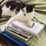 Melissa Ponzio Instagram - Dear Diary…I wish I had thumbs. Love, Roo.