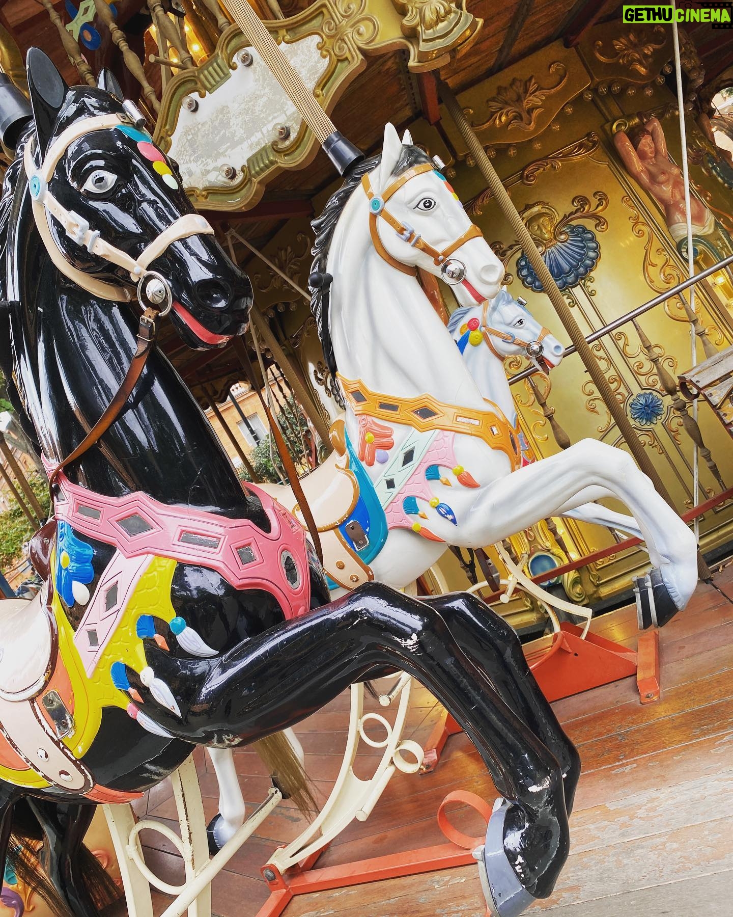 Melissa Ponzio Instagram - I love carousels 🎠 They bring back inspiring memories of my Mom 💞 I hope you have a happy memory come thru for you today & I hope you are out living your good, good life ☀️