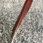 Melissa Ponzio Instagram - Found feathers are very symbolic to me…I believe this one is from a cardinal ❤️ I hope you find something today that brings you what you need in the moment.