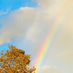 Melissa Rauch Instagram - 🎶 “When all the clouds darken up the skyway, there’s a rainbow highway to be found...”🎶 Oh, what a beautiful day! Still can’t get over this rainbow we saw as we were celebrating the election news. Here’s to hope filled skies ushered in by @joebiden and @kamalaharris 💙🇺🇸♥️ 🇺🇸🤍 🇺🇸