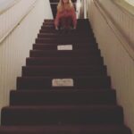 Melissa Rauch Instagram – This video of me going down the stairs from my dressing room to the stage was directed by the marvelous @shnikki as was tonight’s hilarious epsiode of @bigbangtheory_cbs Don’t miss it!!