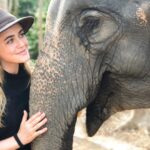 Melissa Roxburgh Instagram - Hi you beautiful creature. . . #phuket #thailand #elephantsanctuary
