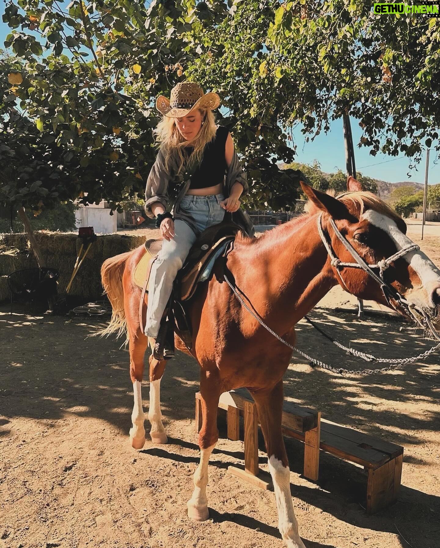 Melissa Roxburgh - 125.6K Likes - Since then