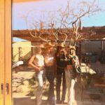 Melissa Roxburgh Instagram – Since then