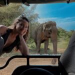 Melyssa Pinto Instagram – Aprendiendo, sanando y mejorando 🔁 

Ultimo recap junto a estos seres maravillosos 🐘✨