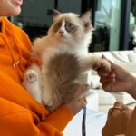 Mercedes Blanche Instagram – Life lately ππͺ¬πΈπ©°