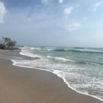 Mercedes Blanche Instagram - My past few weeks ☮️ 🏖️ 👯 🦋🎶