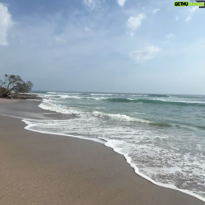 Mercedes Blanche Instagram - My past few weeks ☮️ 🏖️ 👯 🦋🎶