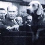 Merve Çağıran Instagram - İki Mustafa Kemal vardır: Biri ben, et ve kemik, geçici Mustafa Kemal... İkinci Mustafa Kemal, onu "ben" kelimesiyle ifade edemem; o, ben değil, bizdir! O, memleketin her köşesinde yeni fikir, yeni hayat ve büyük ülkü için uğraşan aydın ve savaşçı bir topluluktur. Ben, onların rüyasını temsil ediyorum. Benim teşebbüslerim, onların özlemini çektikleri şeyleri tatmin içindir. O Mustafa Kemal sizsiniz, hepinizsiniz. Geçici olmayan, yaşaması ve başarılı olması gereken Mustafa Kemal odur! ♾