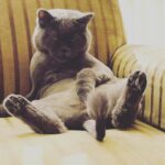 Merve Çağıran Instagram - Böyle durmazsın