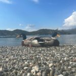 Merve Çağıran Instagram – İki ördek bi yengeç