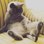 Merve Çağıran Instagram - Böyle durmazsın