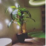 Merve Çağıran Instagram –