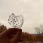 Merve Çağıran Instagram – El değmemiş bir sonbahar, şeffaflığını dökülmekle kazanmış, hep güzel 🙏 #setarkası #çocuk
