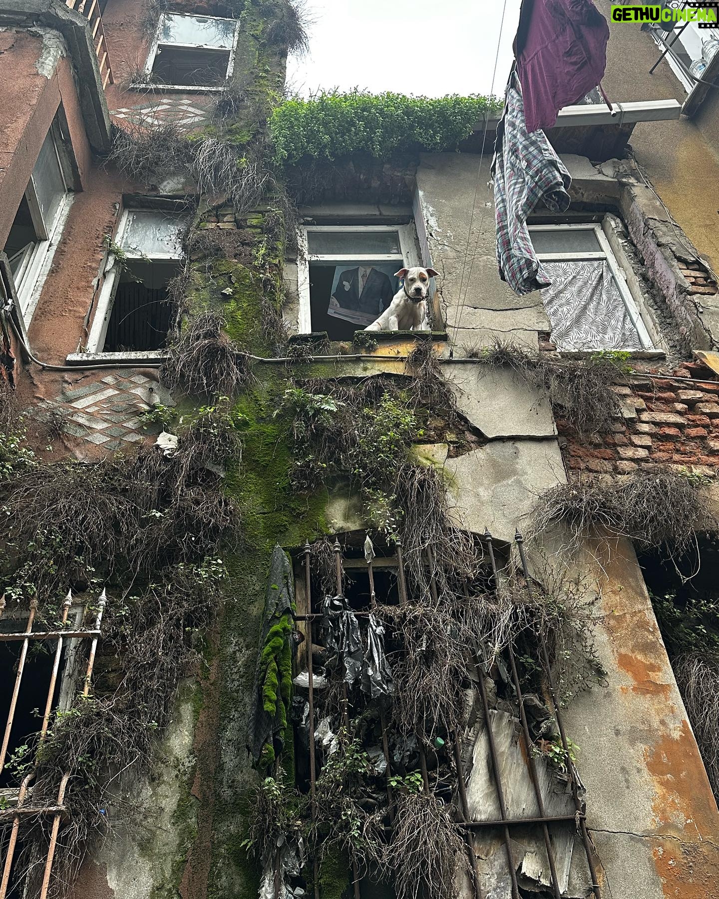 Merve Çağıran Instagram - Dump @kopukdizi Yarın akşam @foxturkiye’de