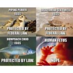 Mia Dinoto Instagram - Enough with the euphemisms. If you support killing babies, just say it. Abortion is murder and that’s a fact. Facts don’t care about your feelings so whatever emotional excuse you have for killing babies doesn’t matter because it’s NEVER ok to kill an innocent human life. - #TurnToJesus #memes #memesdaily