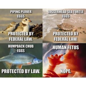 Mia Dinoto Instagram - Enough with the euphemisms. If you support killing babies, just say it. Abortion is murder and that’s a fact. Facts don’t care about your feelings so whatever emotional excuse you have for killing babies doesn’t matter because it’s NEVER ok to kill an innocent human life.
-
#TurnToJesus #memes #memesdaily