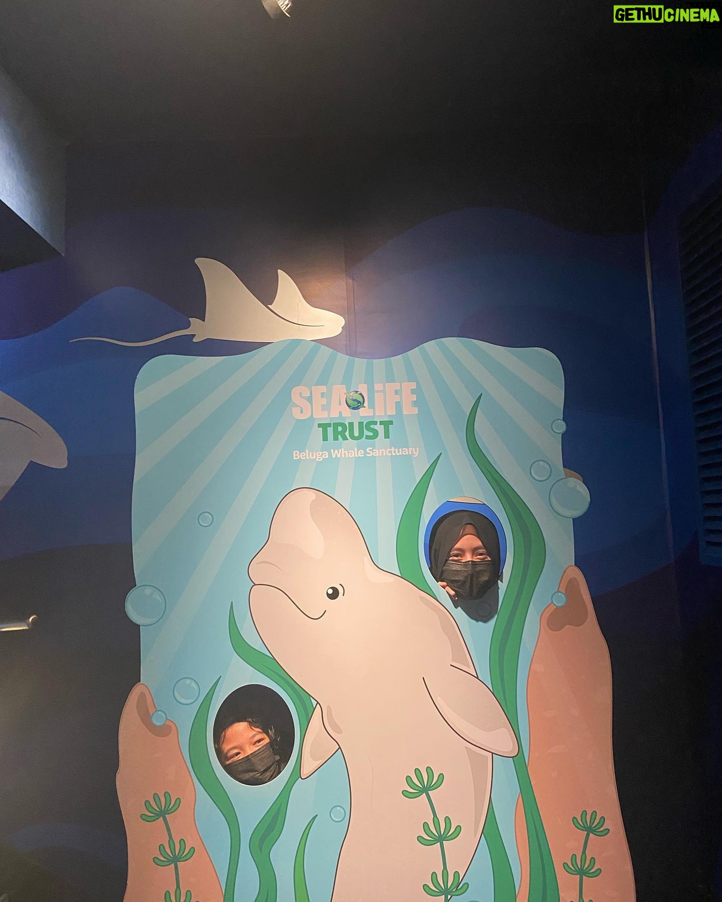 Mia Sara Nasuha Instagram - Day 2 at Legoland !! @legolandmalaysia We went to their sea life for the first time!! . . . #miasara #miasaranasuha #miayoutube