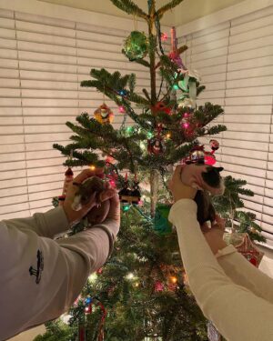 Mia Talerico Instagram - Merry Christmas Eve 🎄❤️💚Wishing you happy holidays from the Talerico’s #holidayphotodump  #merrychristmas #happyholidays #smile #family #friends