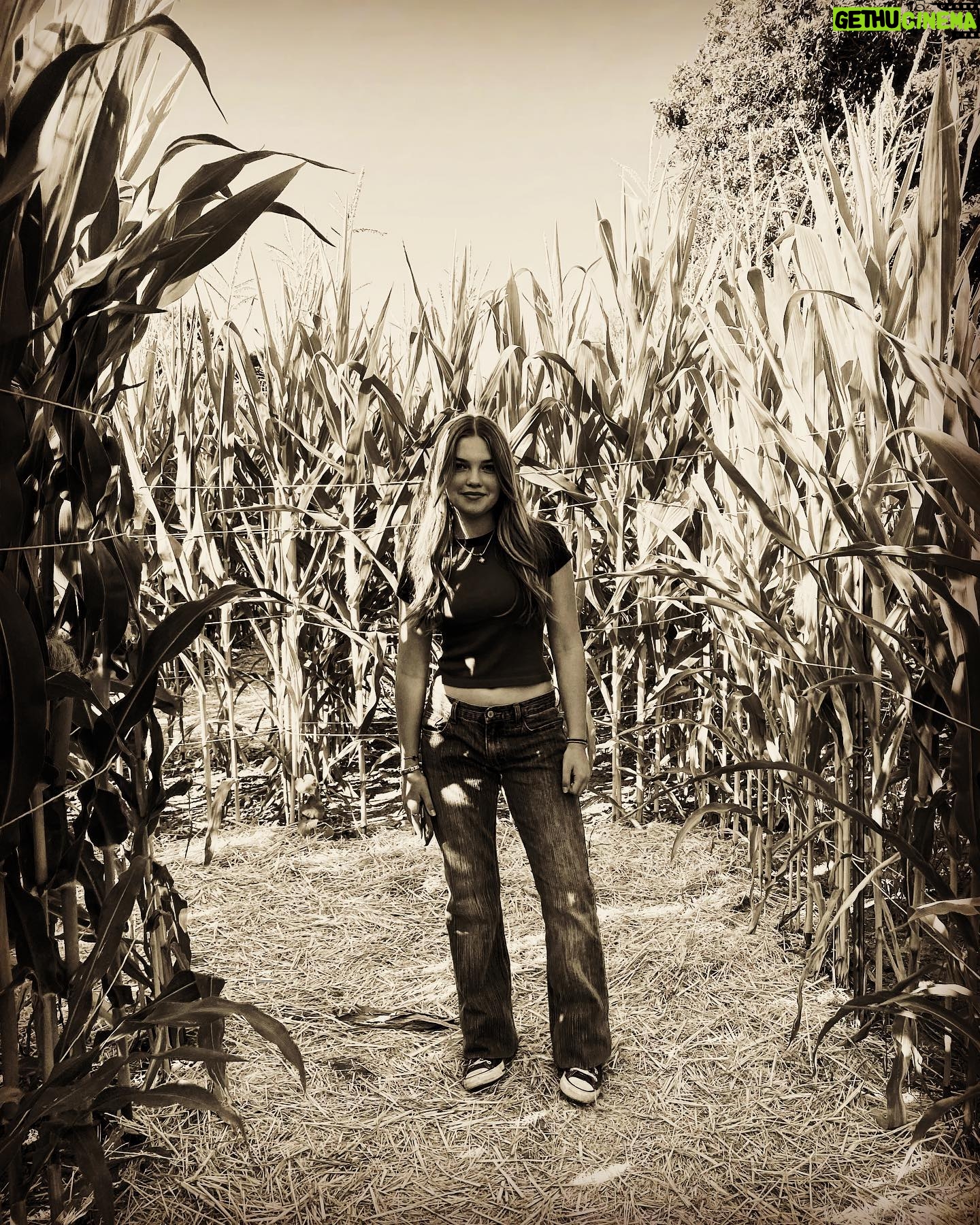 Mia Talerico Instagram - Spooky season #october #cornmaze #halloween #spookyseason #scary