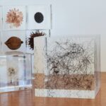 Michael Stevens Instagram - TODAY IS THE LAST DAY TO ENTER! 🧠link in bio🧠 Donate to the Alzheimer's Association for a chance to become the only person on Earth to own a cube of my actual beard hairs!! Look how beautifully it compliments any home! #beard #alzheimers #alzheimersawareness #acrylic #humanhistory #Vsauce #decor