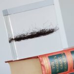 Michael Stevens Instagram - TODAY IS THE LAST DAY TO ENTER! 🧠link in bio🧠 Donate to the Alzheimer's Association for a chance to become the only person on Earth to own a cube of my actual beard hairs!! Look how beautifully it compliments any home! #beard #alzheimers #alzheimersawareness #acrylic #humanhistory #Vsauce #decor