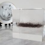 Michael Stevens Instagram - TODAY IS THE LAST DAY TO ENTER! 🧠link in bio🧠 Donate to the Alzheimer's Association for a chance to become the only person on Earth to own a cube of my actual beard hairs!! Look how beautifully it compliments any home! #beard #alzheimers #alzheimersawareness #acrylic #humanhistory #Vsauce #decor
