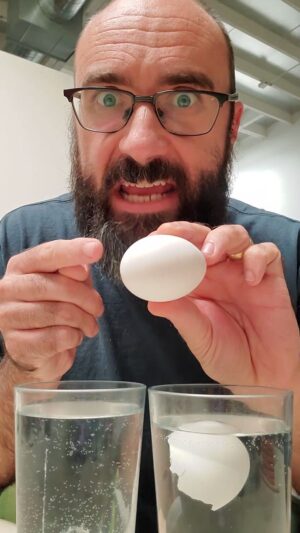 Michael Stevens Instagram - 🪄🥚❤️