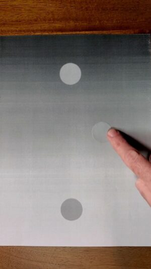 Michael Stevens Instagram - simultaneous brightness contrast 

#opticalillusion #illusion #brightness #contrast #color #brain #mind #naturalselection #perception #eye #vision #research