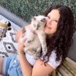 Michelle Carvalho Instagram - ¿Cuales son las razones por las que decidieron tener a sus gatos?🐱 Aquí les comparto las mías junto a @hillspetchile😍 @somosgabrica ¡La comida húmeda de Hills trae más del 60% de humedad, lo que hace que mantengas a tu mascota hidratada por más tiempo!😻 #Hillsciencediet #Publicidad