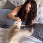 Michelle Carvalho Instagram - ¡El amor de vida tiene 4 patas! 😂🐱 y a mi me encanta llenarlo de amor con la mejor comida de #Hillsciencediet porque promueve una mejor digestión y regulariza el tracto intestinal 🐱Ayuda a la creación de bacterias benéficas🦠 Para que tenga una flora intestinal sana y fuerte 💪🏻 @hillspetchile @somosgabrica #GraciasAlaCiencia #Publicidad