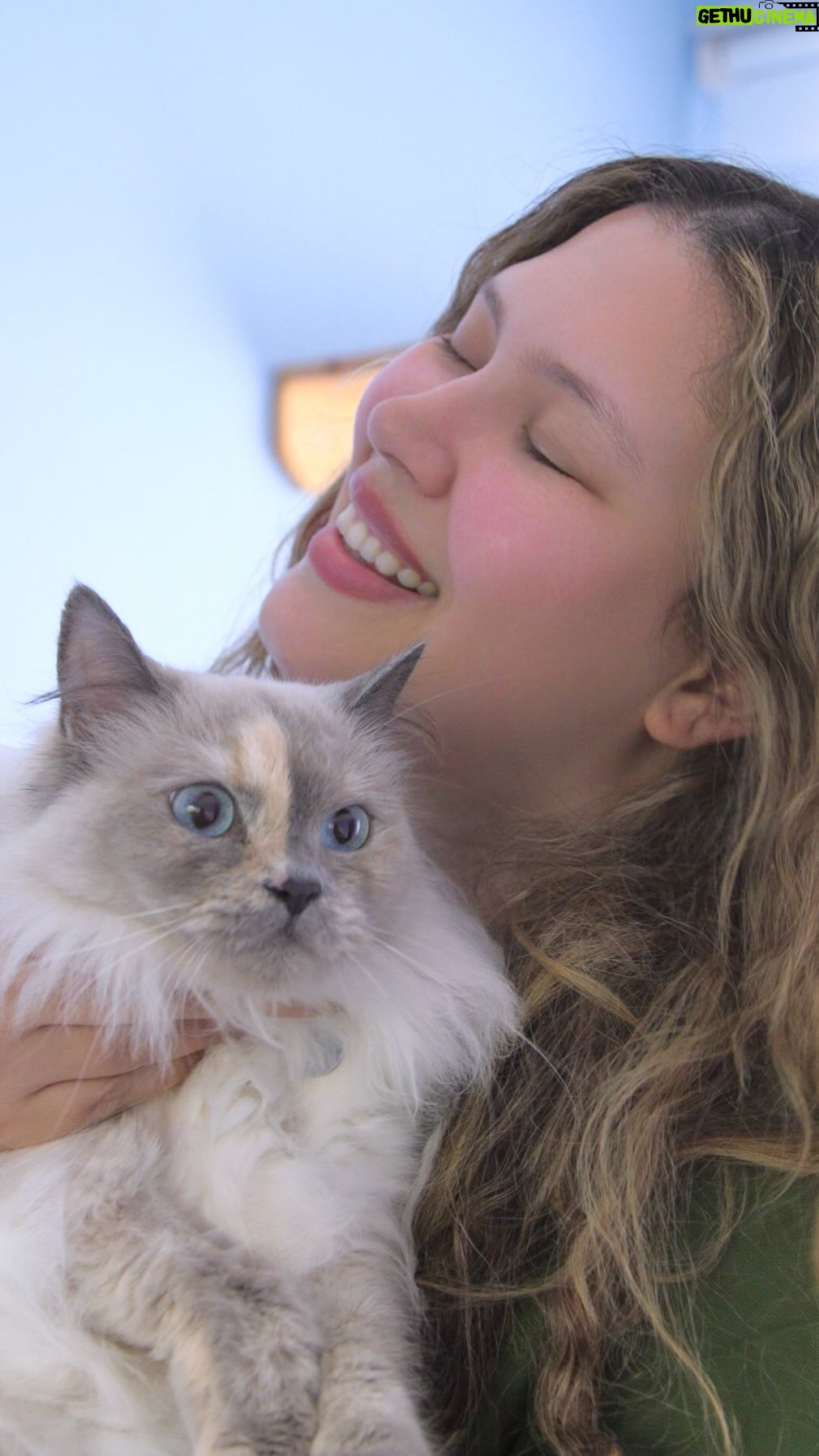 Michelle Carvalho Instagram - Atención a todos los amantes de los gatitos y perritos adorables! 😺🐾✨ Para celebrar el cierre de este #MesDelAnimal, estamos emocionados de presentarles nuestro concurso en colaboración con @mrs_carvalho para asegurarnos de que tus fieles compañeros tengan siempre lo mejor. 💛 ¡Prepárate! 🐱 ¡Porque 50 mascotas tendrán la suerte de llevarse a casa una increíble provisión de Animal Planet Nutribalance, el alimento perfecto que mantendrá a tus amigos peludos saludables y llenos de vitalidad. 🌟 Dale a tus compañeros felinos una experiencia deliciosa y nutritiva, porque no hay nada como el #AmorDeMascotas. ¿Cómo puedes participar? ¡Es muy fácil! ✨ Sigue a @animalplanetnutribalance y @mrs_carvalho ✨ Demuestra tu amor a tus mascotas. ✨ Comenta con un 💛 junto al nombre de tu minino participante y el emoji (🐶/🐱) que mejor lo describa ✨ Mantén tus ojos bien abiertos, ya que el próximo viernes 20/10 anunciaremos a los ganadores a través de las historias en @animalplanetnutribalance. ✨ Y si compartes este concurso en tus historias, ¡aún tendrás más posibilidades de ganar! Cuida la salud y el bienestar de tu fiel amigo felino mientras participas en esta emocionante oportunidad. ¡Vamos a mostrar esos ronroneos felices y saludables! 🌙🐾🐱 ¡Buena suerte a todos! 🍀🎁🐕🐈