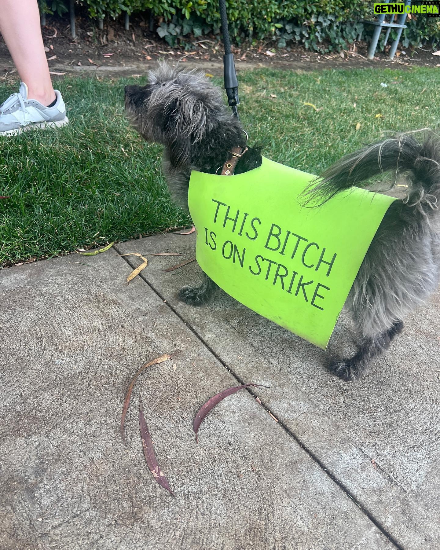 Michelle Monaghan Instagram - So proud to join my fellow @sagaftra members and our beloved @wgawest writers on the picket lines today. 👊 I am 1 of 160,000 #sagaftra members - every member, every actor and #wga writer deserves fair pay, a path to healthcare, residuals and protections from AI. We are #sagaftrastrong and we’ll fight the good fight until a fair deal is made - for ALL of us. 💯💪❤️ #unionproud #solidarity