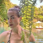 Michelle Monaghan Instagram - Happy Monday! 🫶 For those of you asking where I stayed in Siem Reap I must share!! I stayed at the beautiful @jayahousehotels. This hidden gem was hands-down the most spectacular boutique hotel l’ve EVER stayed in. 💯 This is not an ad but I feel compelled to share just how special it was. Voted top 25 hotels in the world and number one in Cambodia, Jaya exceeded my expectations on every level. In fact, I’m going back with @myherbitual I loved it so much!! 🤗 These pictures capture the beauty but the unparalleled hospitality has to be experienced. On top of the incredible rooms, staff, food and spa (complimentary massages - what!?), Jaya is on a MISSION - and this is the best part...Christian de Boer, the managing director, spoke at the UN just last week on behalf of The Global Tourism Plastics Initiative which unites the tourism sector behind a common vision to address the root causes of plastic pollution. It enables businesses, governments, associations and NGOs to take concerted action, leading by example, in the shift towards a circularity in the use of plastics. @jayahousehotels is leading the way in conscious and sustainable tourism. swoon. 🫠 I’m telling you this hotel is giiiiving and giving back!! The good vibes are real! 😌