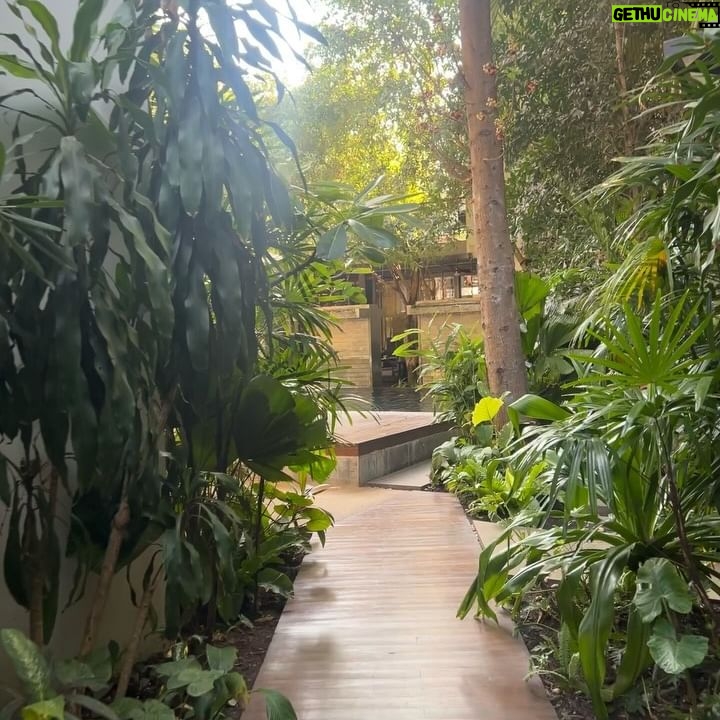 Michelle Monaghan Instagram - Happy Monday! 🫶 For those of you asking where I stayed in Siem Reap I must share!! I stayed at the beautiful @jayahousehotels. This hidden gem was hands-down the most spectacular boutique hotel l’ve EVER stayed in. 💯 This is not an ad but I feel compelled to share just how special it was. Voted top 25 hotels in the world and number one in Cambodia, Jaya exceeded my expectations on every level. In fact, I’m going back with @myherbitual I loved it so much!! 🤗 These pictures capture the beauty but the unparalleled hospitality has to be experienced. On top of the incredible rooms, staff, food and spa (complimentary massages - what!?), Jaya is on a MISSION - and this is the best part...Christian de Boer, the managing director, spoke at the UN just last week on behalf of The Global Tourism Plastics Initiative which unites the tourism sector behind a common vision to address the root causes of plastic pollution. It enables businesses, governments, associations and NGOs to take concerted action, leading by example, in the shift towards a circularity in the use of plastics. @jayahousehotels is leading the way in conscious and sustainable tourism. swoon. 🫠I’m telling you this hotel is giiiiving and giving back!! The good vibes are real! 😌