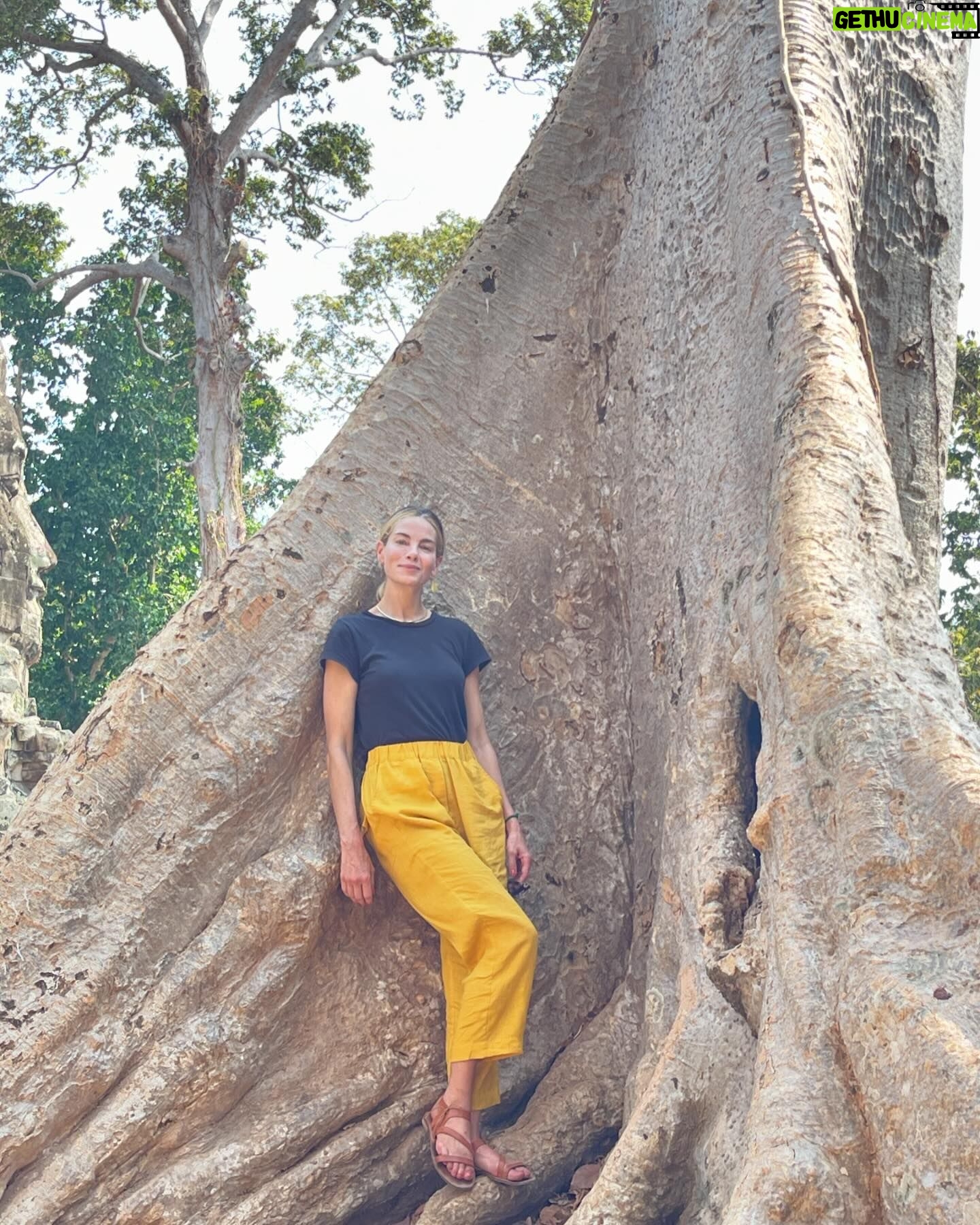 Michelle Monaghan Instagram - Lost in the magic of the ancient temples of Angkor Wat, aka “City of Temples”.✨This Eighth Wonder of the World is the largest religious monument in the world! Built 900 years ago, it holds the mythology of both Hindu and Buddhism religions. To experience its sheer beauty at sunrise was a dream come true. 💫Thank you to my incredible Cambodian tour guide “Lee” @chhvn1y_chhorn for the history lesson and for capturing our awe-inspiring day. I’ll treasure it forever. 🙏 #angkorwat #cambodia