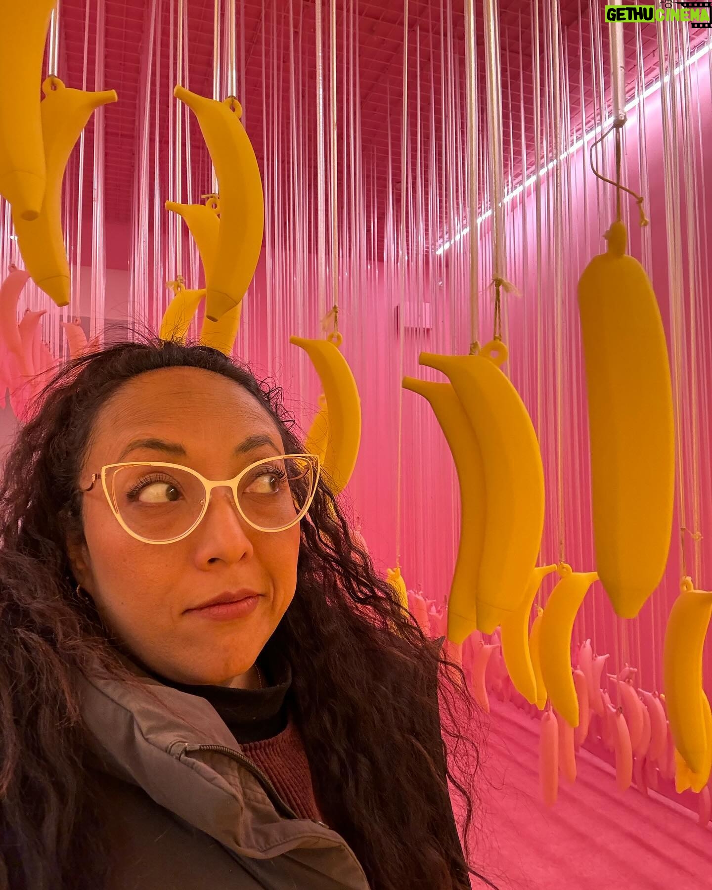 Michelle Rodríguez Instagram - 🎶 fría como el viento…🎶 También fuimos al museo del helado, de chiquita nunca me gustaron esas albercas, ni las de esponjas, pensaba que estaban biiiiiiiiiiien cochinas… (sticker de la Wendy con su trenza) Pero! Pero! Me aventuré meramente para la foto… salir de ahí cuesta 🤷🏽♀️ Y bien chula las fotos no?