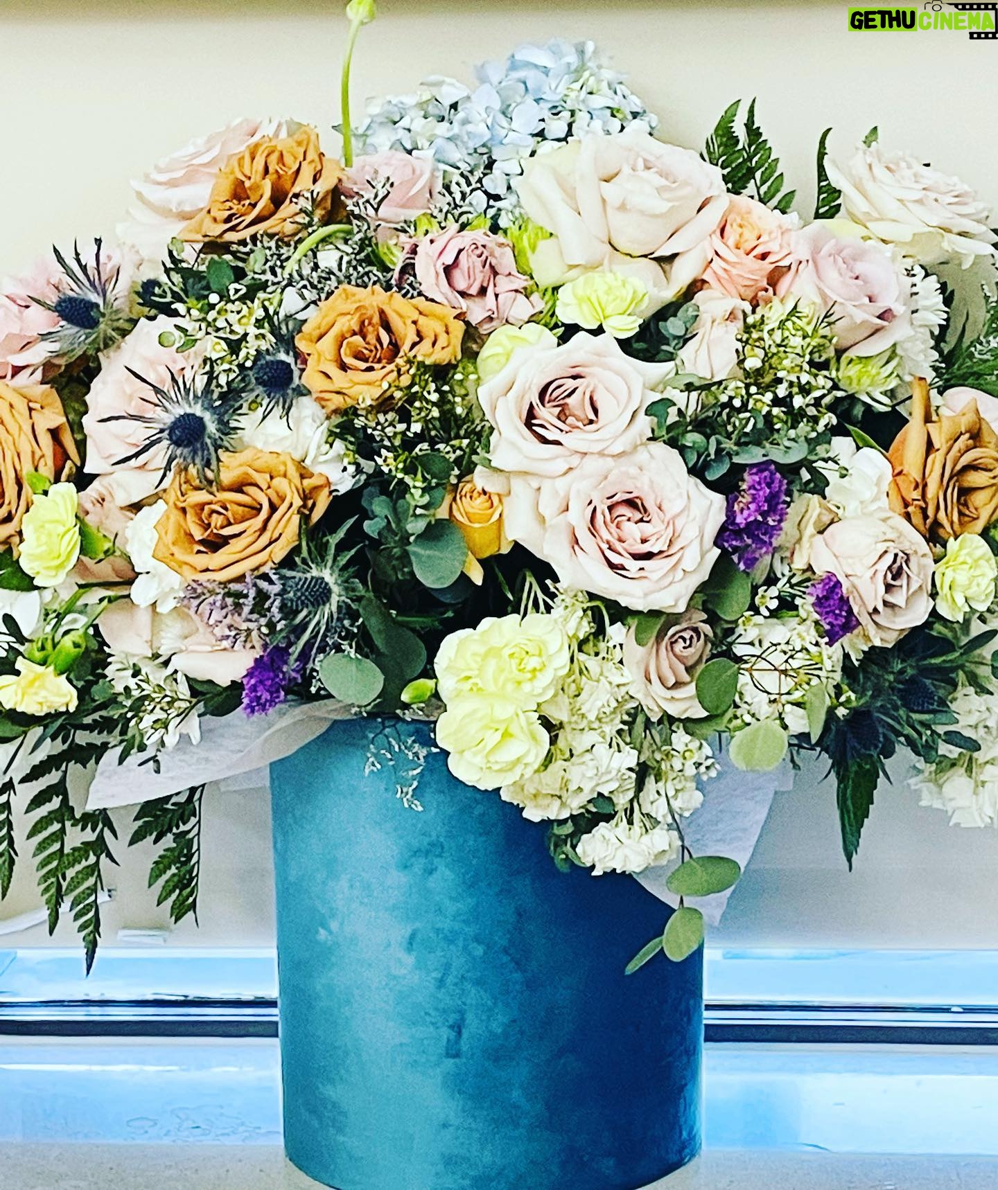 Michelle Trachtenberg Instagram - The most beautiful surprise arrangement I’ve ever received. Thank you my #love. 💖💜💚 #flowers
