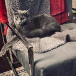 Michelle Trachtenberg Instagram - Mumzie. You know I have photo approval. 🐈‍⬛